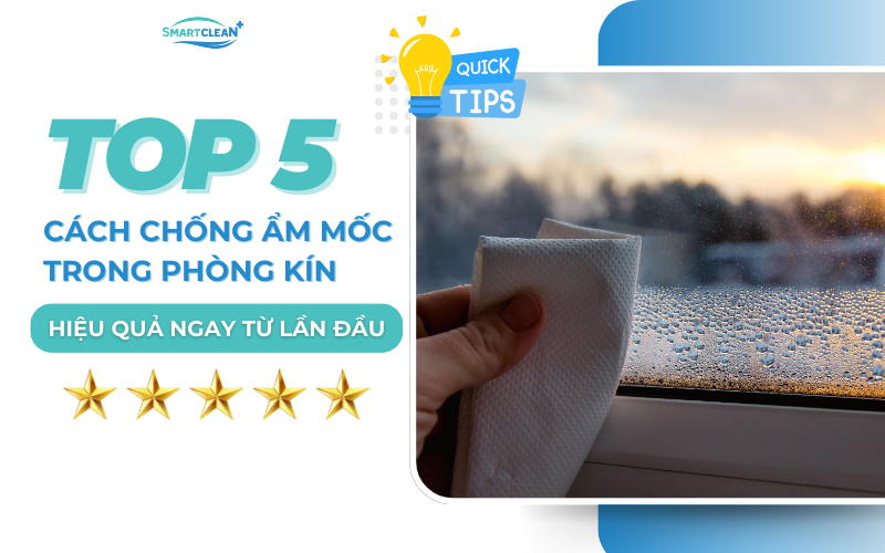 top-5-cach-chong-am-moc-trong-phong-kin-hieu-qua-ngay-tu-lan-dau