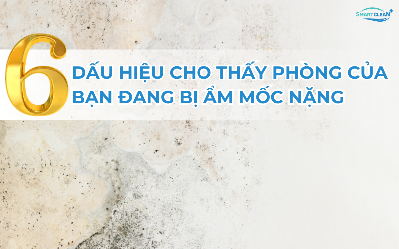 6-dau-hieu-cho-thay-phong-ban-dang-bi-am-moc-nang