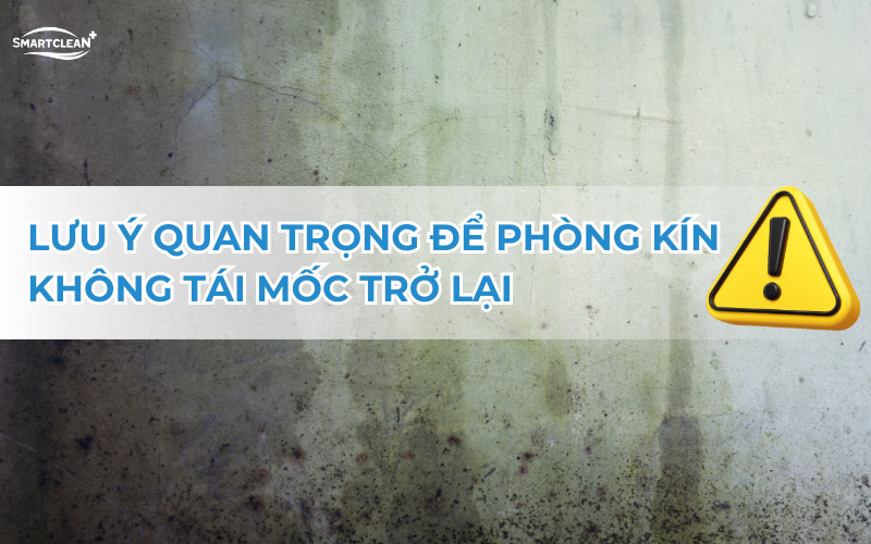 luu-y-quan-trong-de-mui-nom-khong-quay-lai
