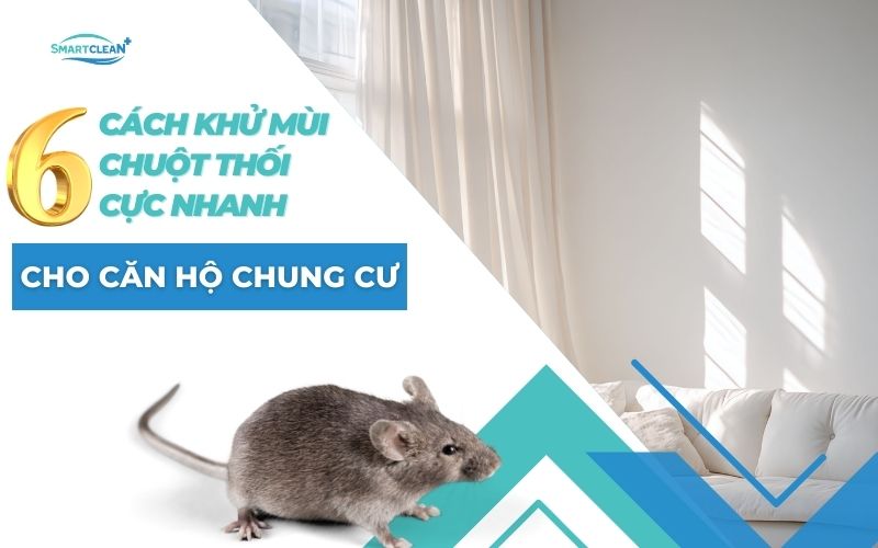 6-khu-mui-chuot-thoi-cuc-nhanh-cho-can-ho-chung-cu