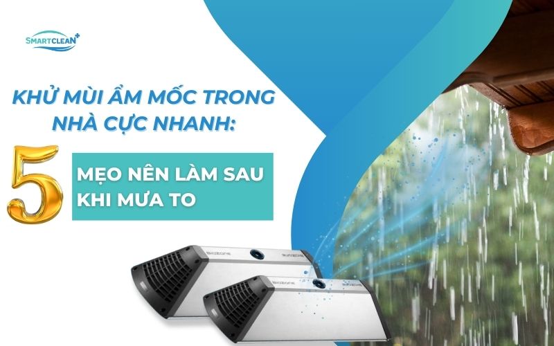 khu-mui-am-moc-trong-nha-cuc-nhanh-5-meo-nen-lam-sau-khi-mua-to
