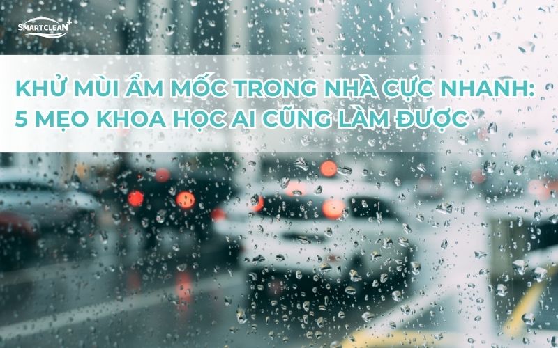 khu-mui-am-moc-trong-nha-cuc-nhanh-5-meo-khoa-hoc-ai-cung-lam-duoc