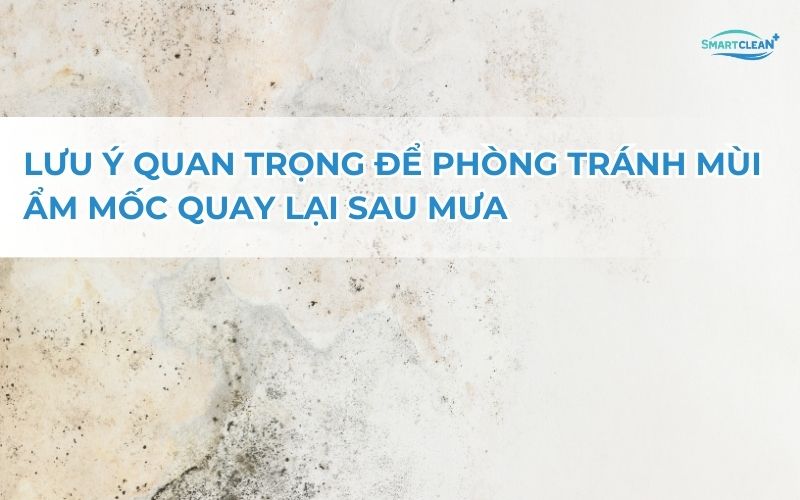 luu-y-quan-trong-de-phong-tranh-quay-lai-mui-hoi