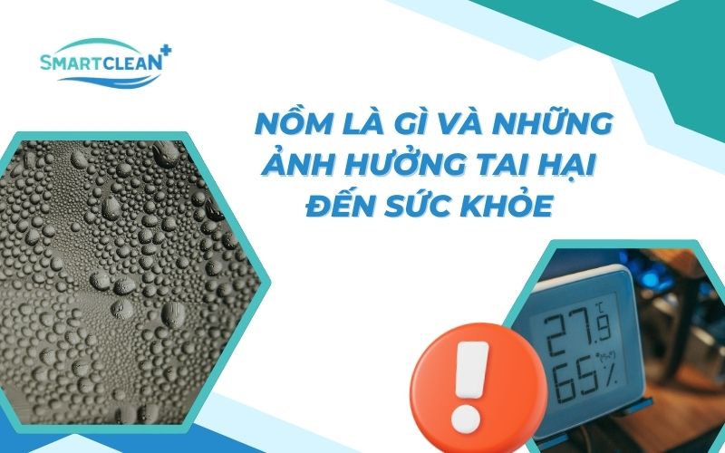 nom-la-gi-va-nhung-anh-huong-tai-hai-den-suc-khoe