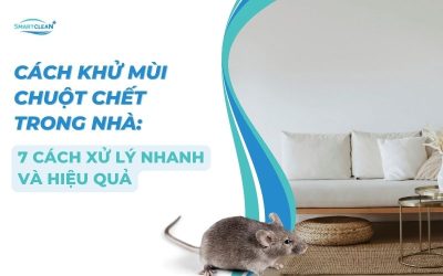 cach-khu-mui-chuot-chet-7-cach-hieu-qua-nhanh-chong