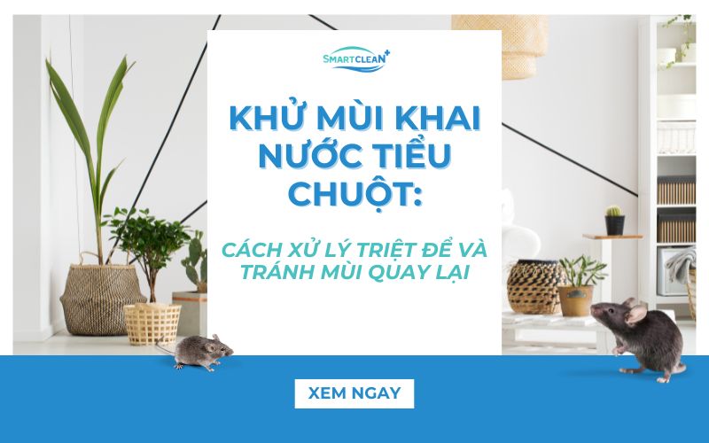 khu-mui-nuoc-tieu-chuot-cach-xu-ly-triet-de-va-tranh-mui-quay-lai