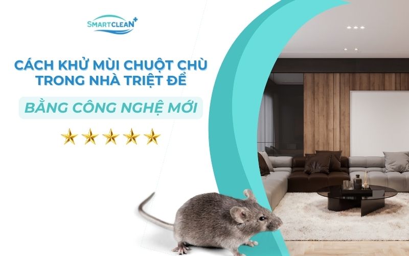 cach-khhu-mui-chuot-chu-trong-nha-triet-de-bang-cong-nghe-moi