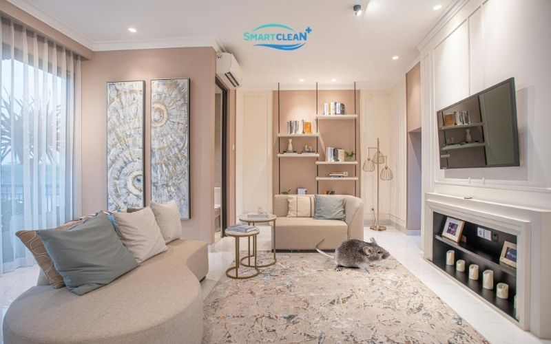 mui-chuot-chu-co-mui-nhu-the-nao