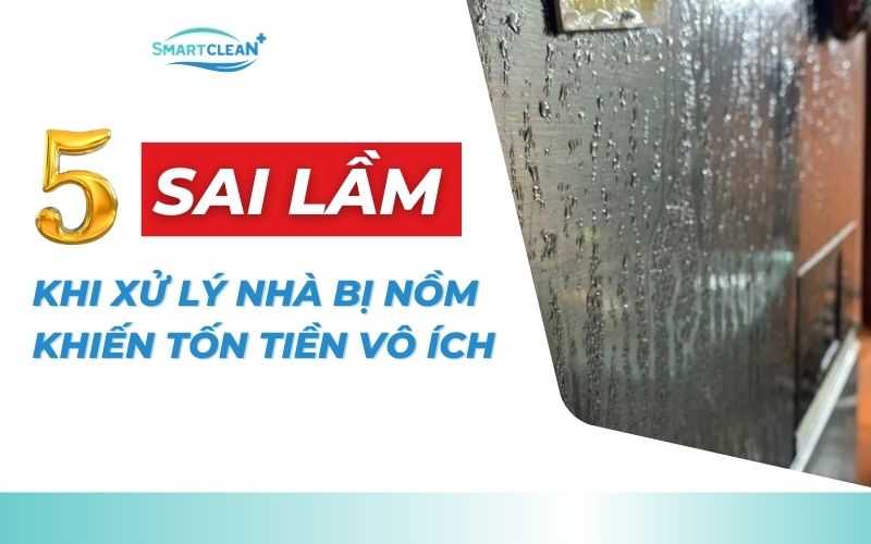5-sai-lam-khi-xu-ly-nha-bi-nom-gay-ton-tien-vo-ich