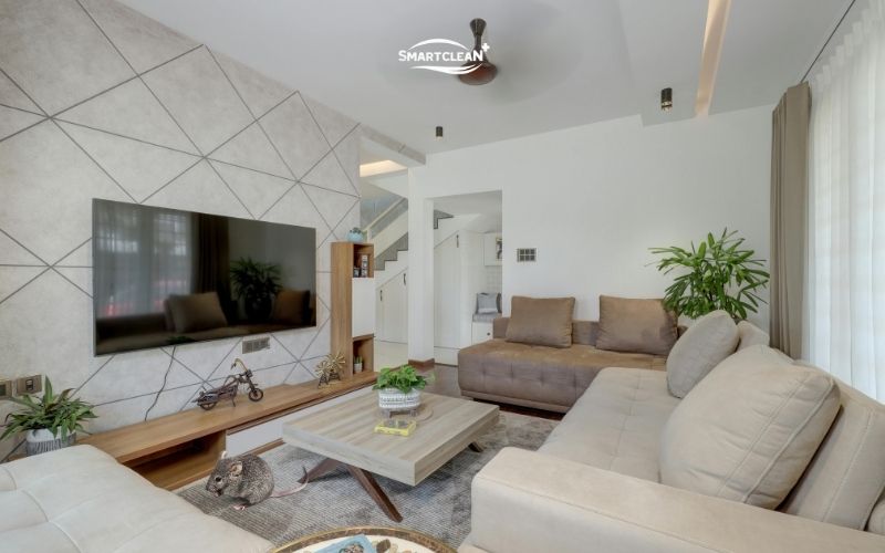 khong-tim-thay-chuot-chu-nhung-co-mui-hoi-phai-xu-ly-the-nao