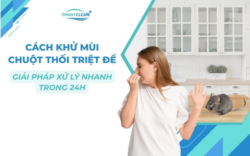 cach-khu-mui-chuot-thoi-triet-de-va-giai-phap-xu-ly-nhanh-trong-24h