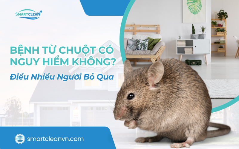 benh-tu-chuot