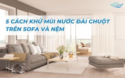 5-cach-khu-mui-nuoc-dai-chuot-tren-sofa-va-ne