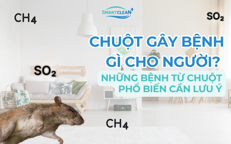 chuot-gay-benh-gi-cho-nguoi
