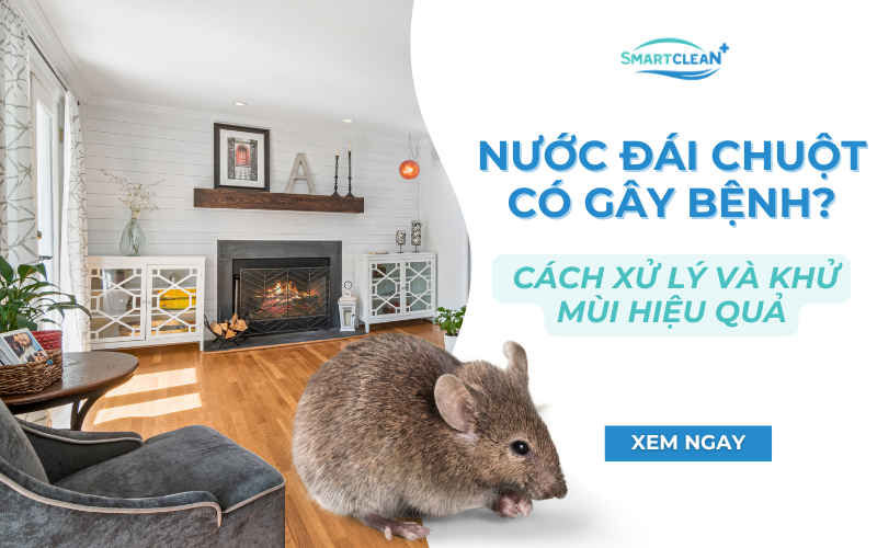 nuoc-dai-chuot-co-gay-benh